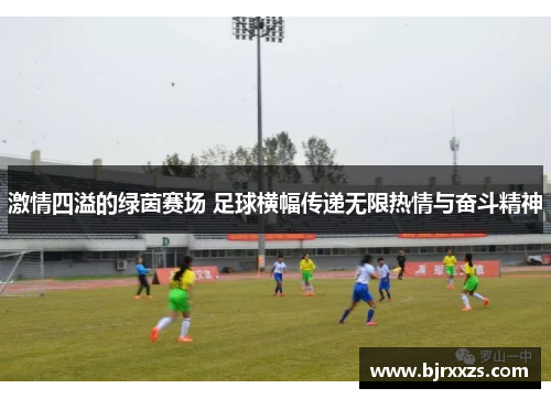 激情四溢的绿茵赛场 足球横幅传递无限热情与奋斗精神