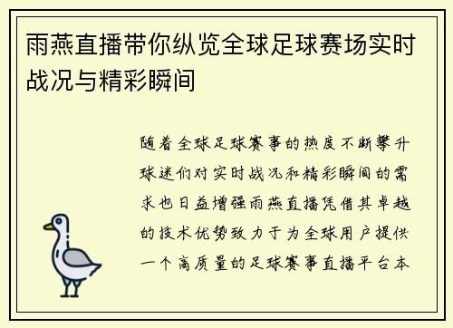 雨燕直播带你纵览全球足球赛场实时战况与精彩瞬间